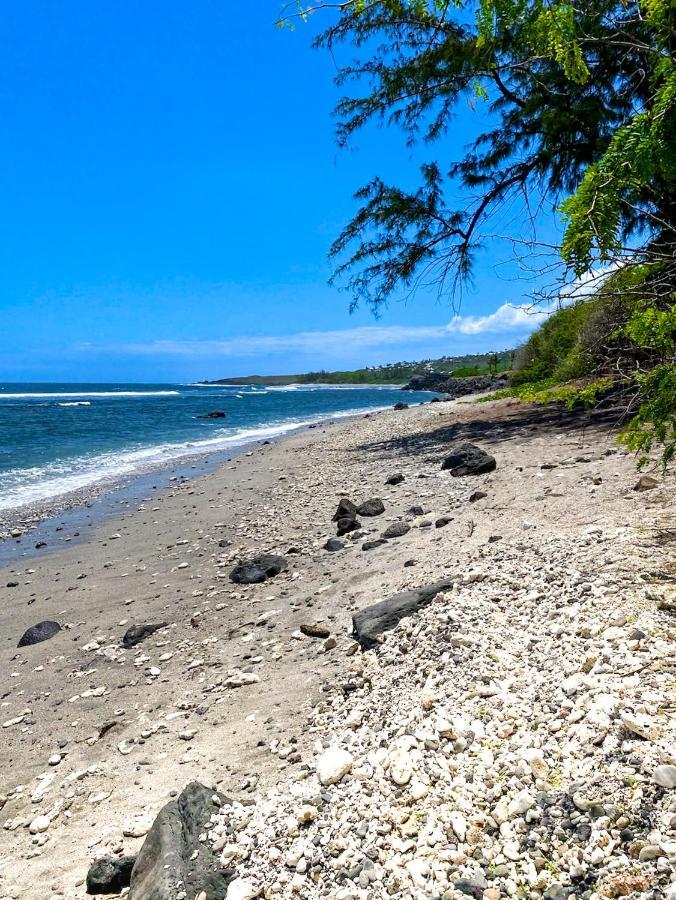 Le Petrel Bleu - Appartement Sur La Plage Des Tortues A Saint-Leu Bagian luar foto