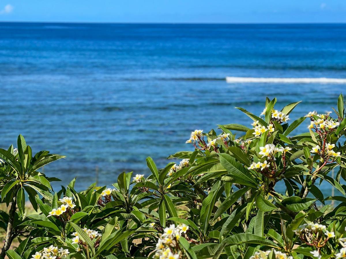 Le Petrel Bleu - Appartement Sur La Plage Des Tortues A Saint-Leu Bagian luar foto