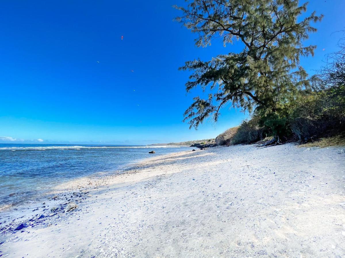 Le Petrel Bleu - Appartement Sur La Plage Des Tortues A Saint-Leu Bagian luar foto